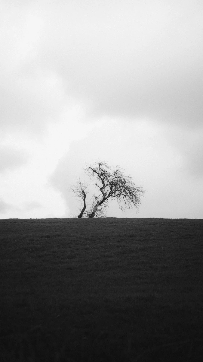Portfolio Foto